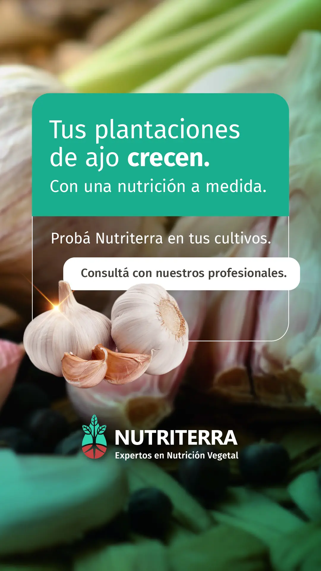 Nutriterra