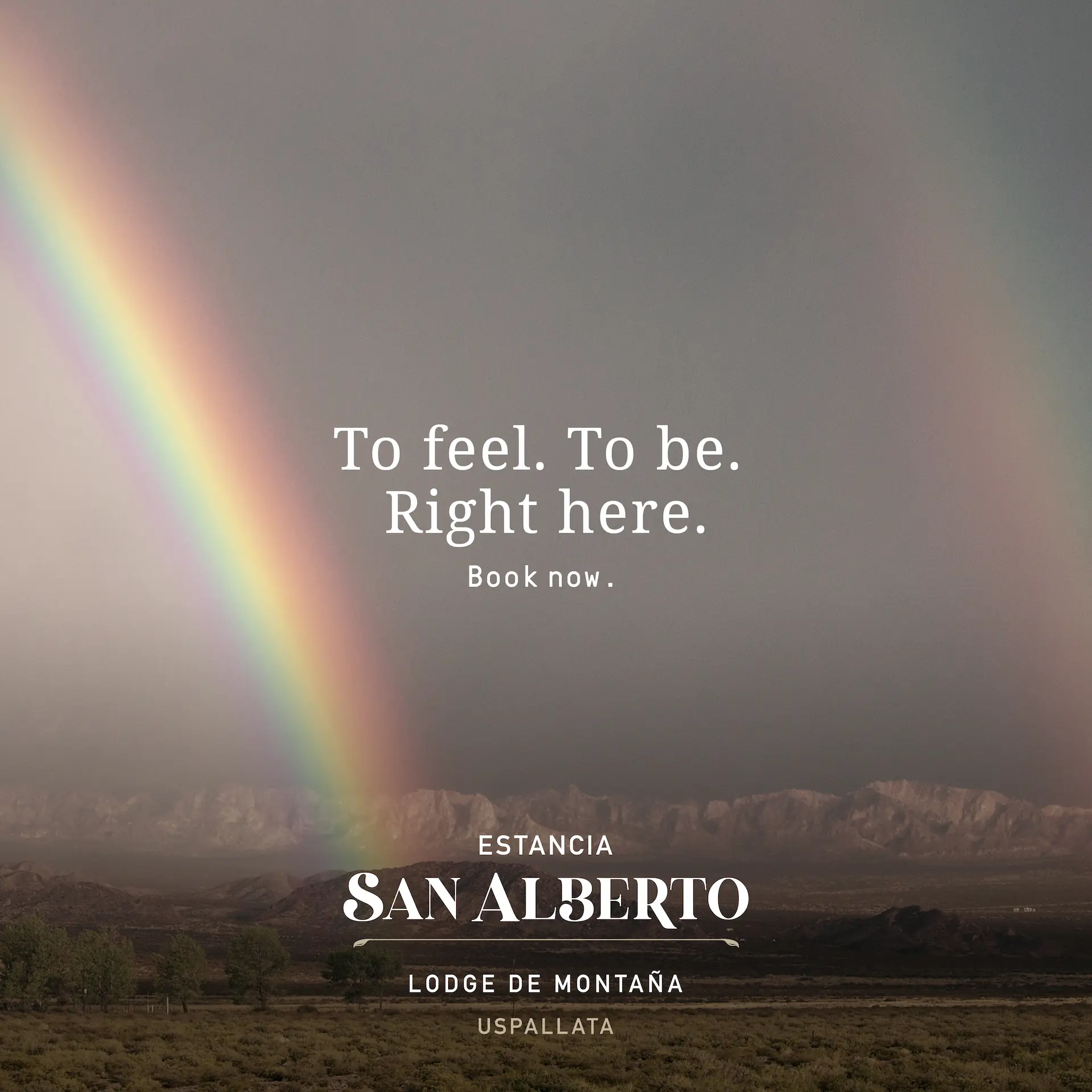 SAN ALBERTO